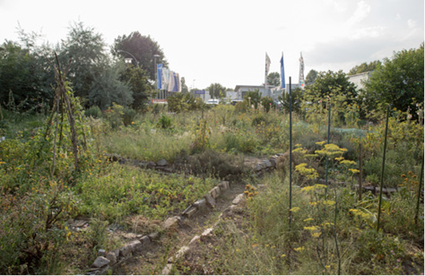 Abb. 5 Öffentlicher Teil des Stadtgartenprojekts Laskerwiese e.V. (Foto: Anna Blattner)