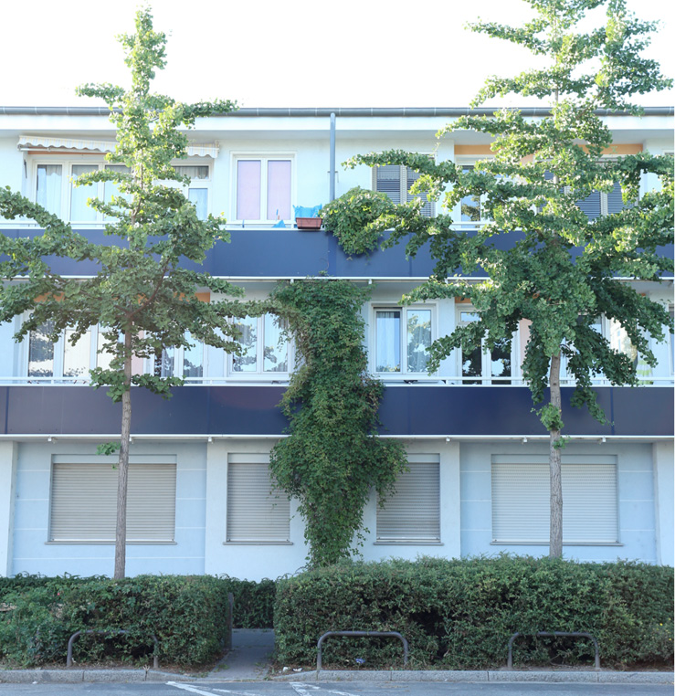 Abb. 12 Einfache Wohnungen in der Hellerhofsiedlung, Idsteiner Straße, Aug. 2014 (Foto: David Schommer)