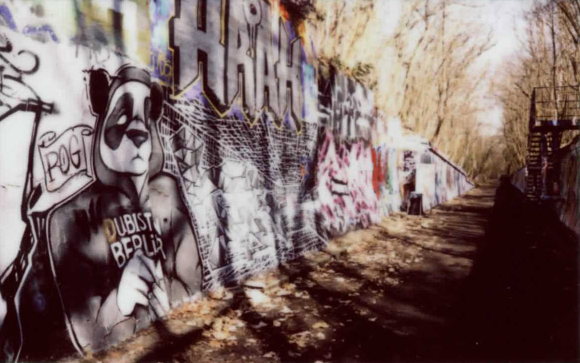 Abb. 3 Tälchenweg mit Graffitis im Schöneberger Südgelände (Quelle: Katharina Kapitza).
